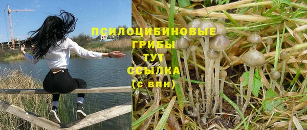 соль курить ск Алзамай