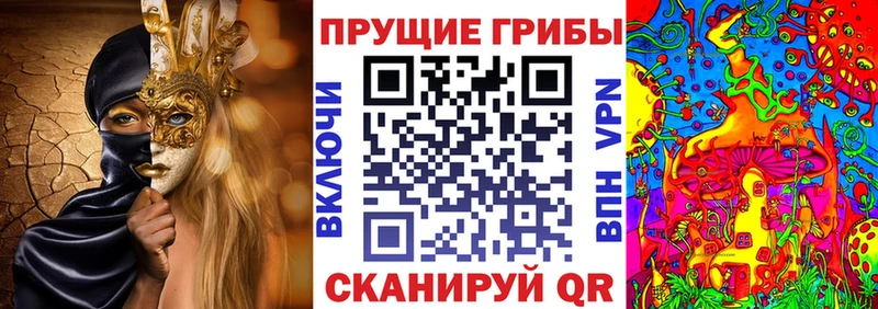 Галлюциногенные грибы ЛСД сайты даркнета как зайти Протвино сколько стоит